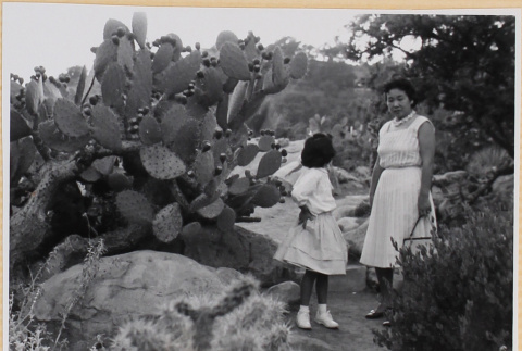 Yoshiko and Susan Shiomi standing by cactus (ddr-densho-522-590)
