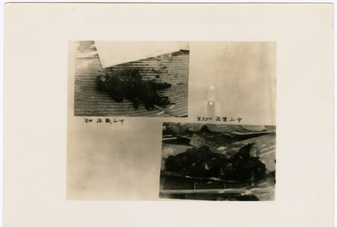 Burned bodies of Seiji and Kenji Nakayama (ddr-densho-381-108)