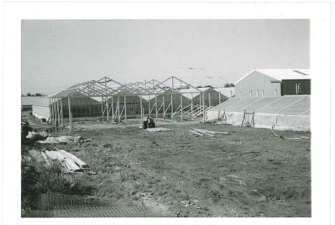 Greenhouse construction (ddr-densho-441-69)