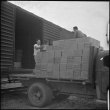 Japanese Americans unloading supplies (ddr-densho-37-535)