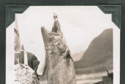 Large fish (ddr-densho-540-92)