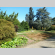 Panorama right looking at former planting beds (ddr-densho-354-2833)
