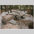 Rock wall detail (ddr-densho-377-1858)