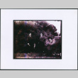 Three men in a garden (ddr-densho-423-458)