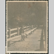 Wooden Bridge (ddr-densho-378-995)