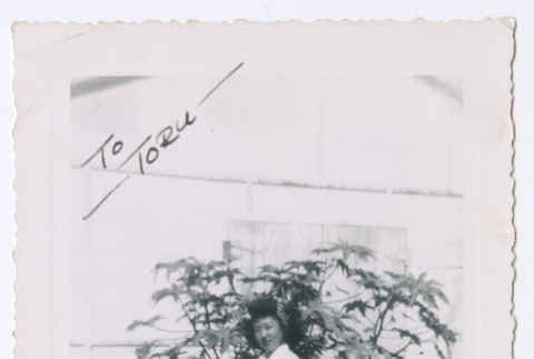 Photograph (ddr-densho-480-128-mezzanine-993d2a9055)