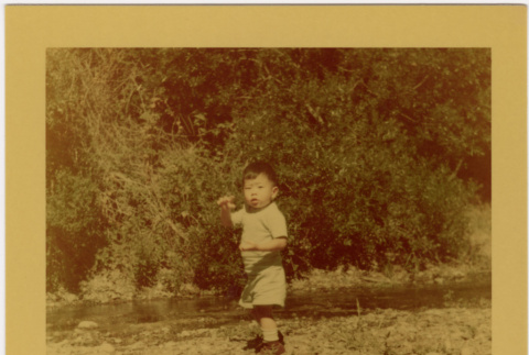 Young Boy (ddr-densho-426-179)