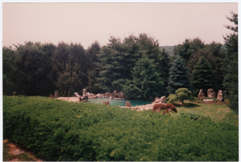 Pool (ddr-densho-377-2446)
