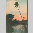 Postcard (ddr-densho-316-74)