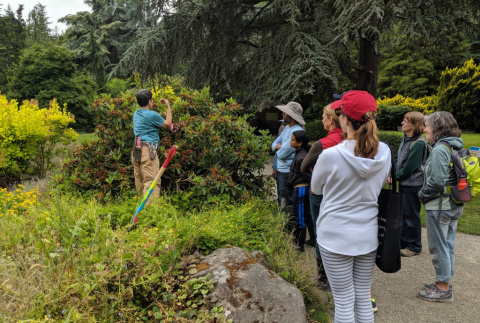 Marcia High showing volunteers how to deadhead Rhododendrons (ddr-densho-354-2460)
