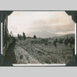 View of Mt. Shasta from the train (ddr-ajah-2-272)