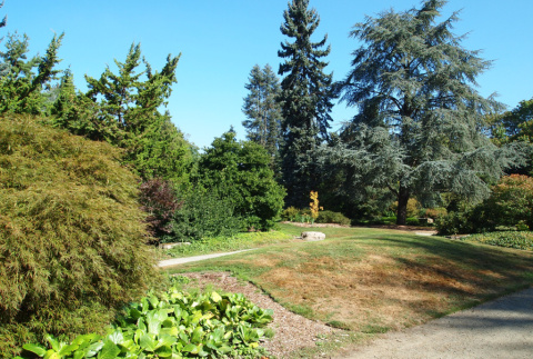 Panorama right looking at former planting beds (ddr-densho-354-2833)