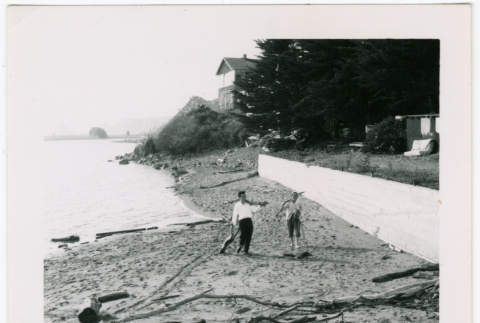 Two adults collecting driftwood (ddr-densho-433-601)
