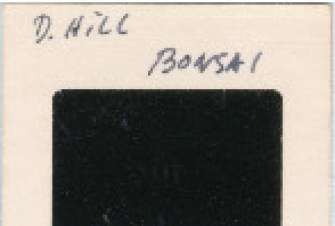 Front and back (ddr-densho-377-1047-mezzanine-55da2d0ea5)