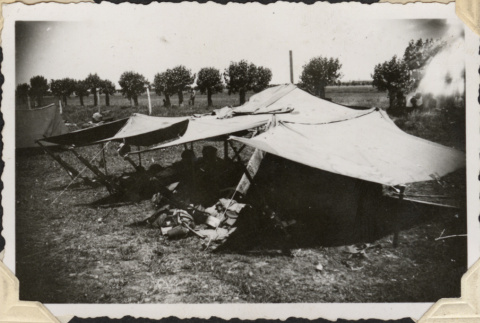 Tents in field (ddr-densho-466-655)