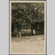 Girl in yard outside house (ddr-densho-316-241)