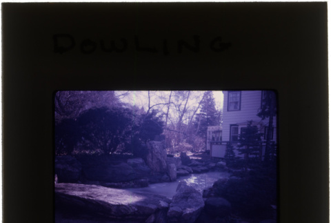 Garden at the Dowling project (ddr-densho-377-689)