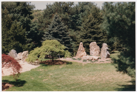 Rock feature in landscaping (ddr-densho-377-2438)