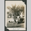 two women sitting on bench under palm (ddr-densho-378-673)