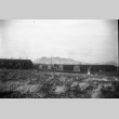 Castle Rock (Ward 5) (ddr-densho-570-9)