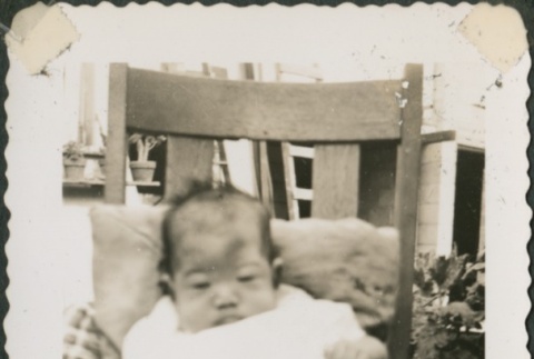 Baby seated in a chair (ddr-densho-321-1081)