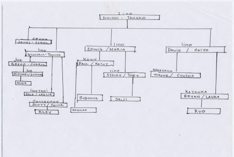 Iino Family Tree (ddr-densho-368-19)