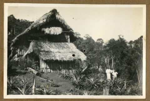 Japanese Peruvian house (ddr-csujad-33-62)