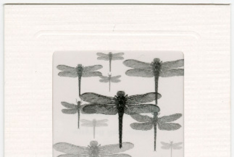 Card from Carolyn to Kris Marubayashi (ddr-densho-329-1068)