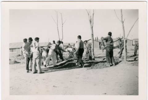 Men planting trees with camp buildings in background (ddr-densho-329-1373)