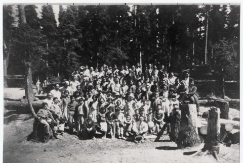 Summer Hood River Japanese Methodist Church Camp (ddr-densho-259-663)