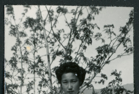 Photograph of a nurse posing in front of a tree at Manzanar (ddr-csujad-47-191)