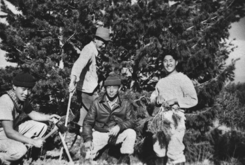 Four boys on hike to Heart Mountain (ddr-ajah-2-916)