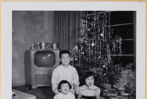 William, Susan and Leslie Shiomi by Christmas tree (ddr-densho-522-528)