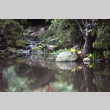Waterfall in the Japanese Garden (ddr-densho-354-1444)