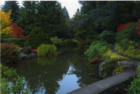 Japanese Garden Pond (ddr-densho-354-1708)