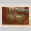 Water feature (ddr-densho-377-2230)