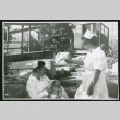 Photograph of Irene Gavigan, R.N., holding a newborn while another nurse attracts his attention in front of the Manzanar hospital (ddr-csujad-47-224)
