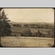 Panoramic view of the Hood River Valley (ddr-densho-259-316)
