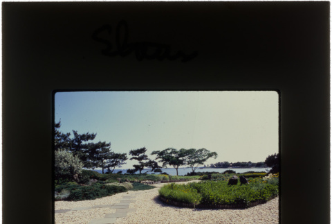 Garden with a water view at the Straus project (ddr-densho-377-596)