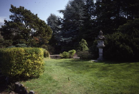 Lawn and stone lantern (ddr-densho-354-1429)