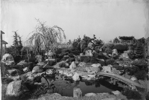 Garden designed by the Kubota Gardening Company with a pond and wooden bridge. (ddr-densho-354-137)