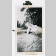 David 1948 (ddr-densho-462-47)