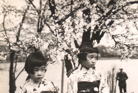 Hiroshi Saito's daughters wearing kimono (ddr-njpa-4-2546)