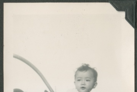 A baby in a buggy (ddr-densho-328-54)