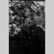 Cat in garden (ddr-densho-426-1722)