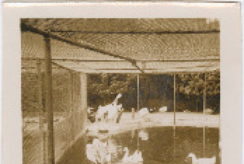 Photo front and back (ddr-densho-426-1931-mezzanine-677825a9a9)