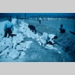 Japanese Americans building a drainage ditch (ddr-densho-160-42)
