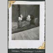 Man laying on cot, reading (ddr-densho-434-64)
