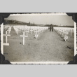 Two men walking down row of crosses at the cemetery at Castelfiorentino (ddr-densho-466-693)