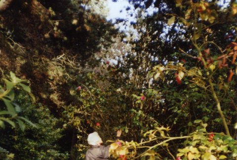 Amy Kubota in the Garden (ddr-densho-354-434)